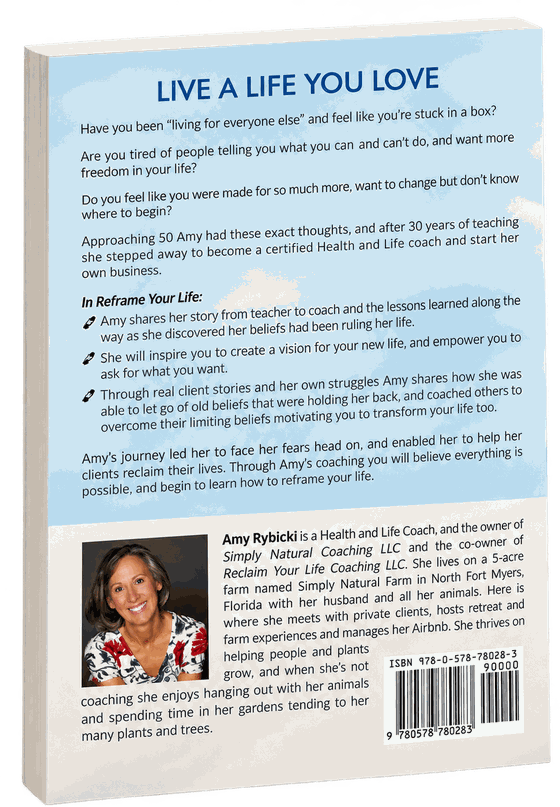The back cover of Reframe Your Life.